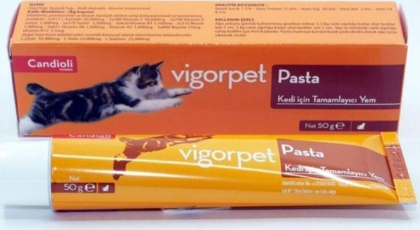 Candioli Candıolı Vigorpet Pasta Kediler Için Tamamlayıcı Yem - 50 G - Image 1