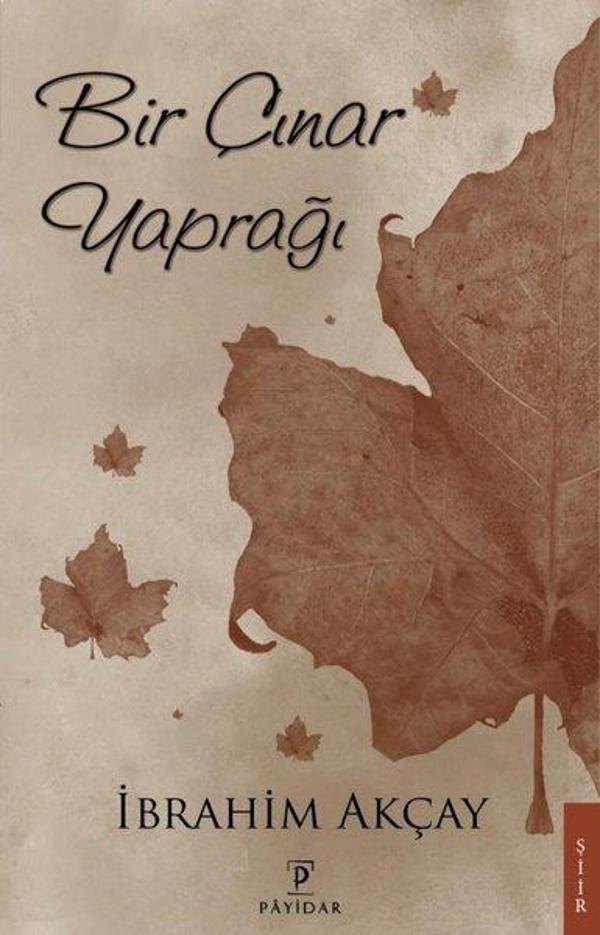 Bir Çınar Yaprağı - Payidar - Image 1