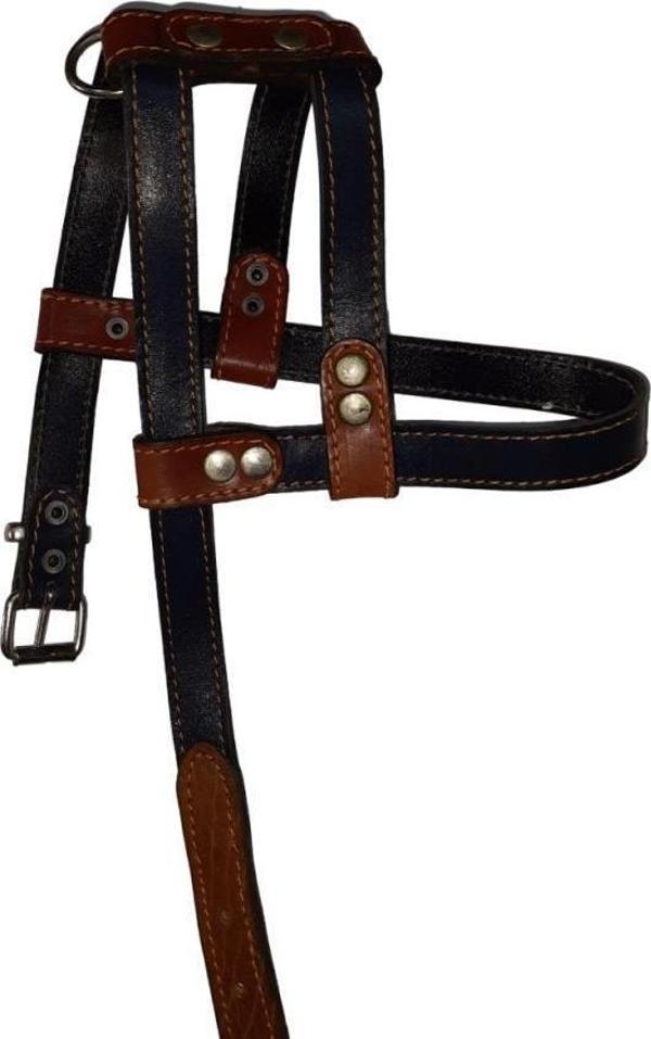 Lovely Hakiki Deri Ayarlanır Köpek Göğüs Tasması 2cm 5-17Kg Köpeklere LACİVERT - Image 1
