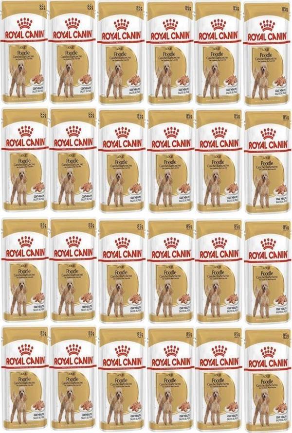 Royal Canin Adult Poodle Caniche Tüy Sagligi Destekleyici Yetiskin Köpek Konservesi 85gr 24 Adet - Image 1