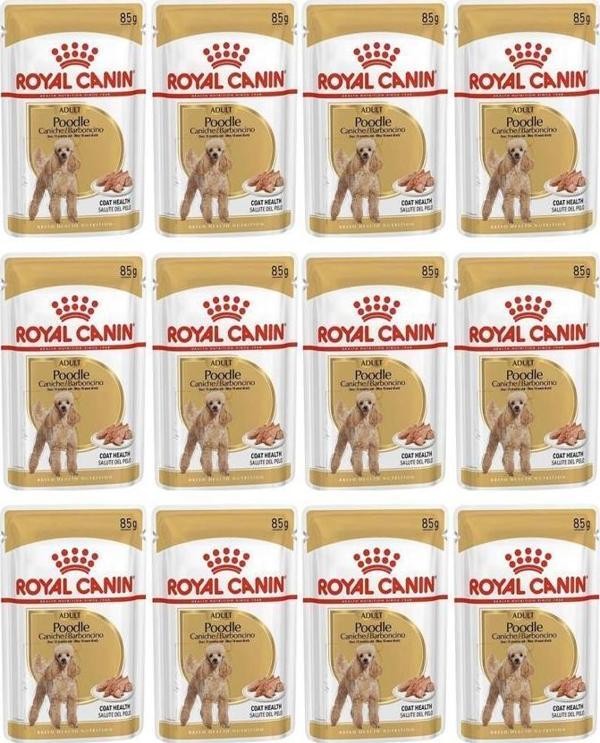 Royal Canin Poodle Tüy Sağlığı Destekleyici Yetişkin Köpek Konservesi 85gr 12 Adet - Image 1