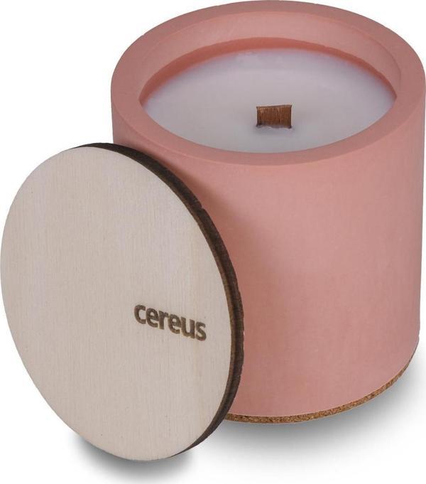 Cereus Inytium Rejenerasi Japon Kiraz Çiçeği Kokulu Soya Mum (210 Gr) - Image 1