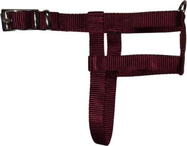 Lovely Ayarlanır Köpek Göğüs Tasması 2cm 5-17 Kg Aralığındaki Köpeklere Vişne - Image 1