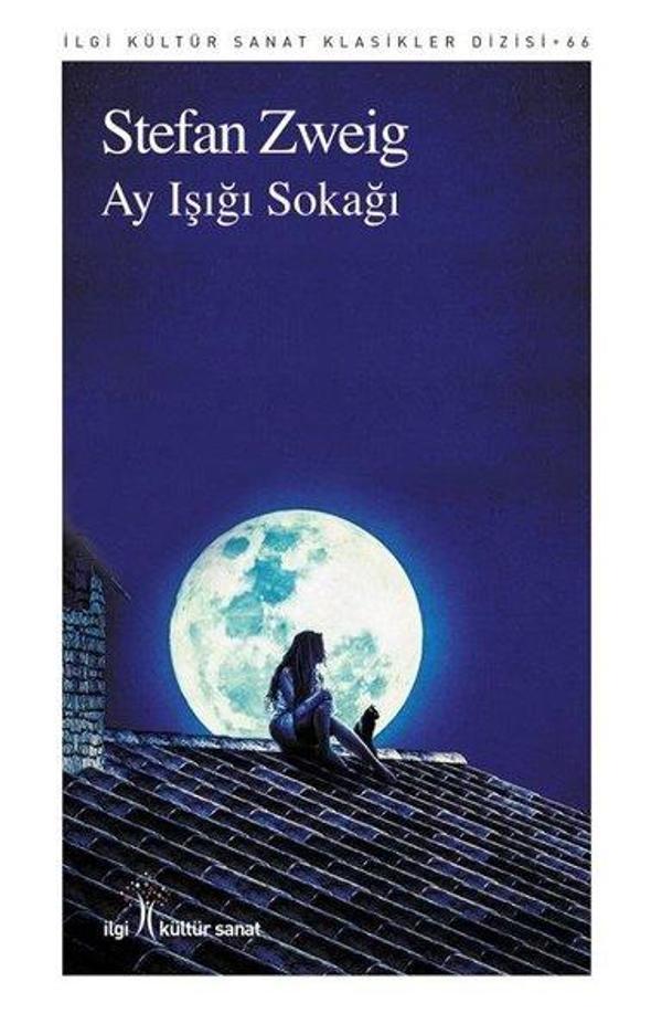 Ay Işığı Sokağı - İlgi Kültür Sanat Yayınları - Image 1