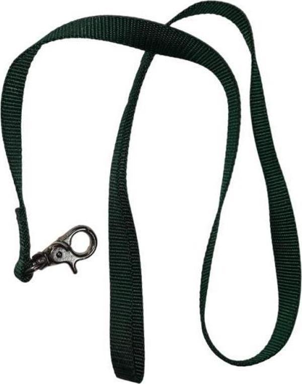 Lovely Kedi Köpek Şerit Gezdirme Kayışı Yeşil 1,5cm - 120cm - Image 1