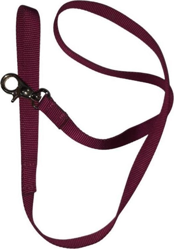 Lovely Kedi Köpek Şerit Gezdirme Kayışı Mor 1,5cm - 120cm - Image 1