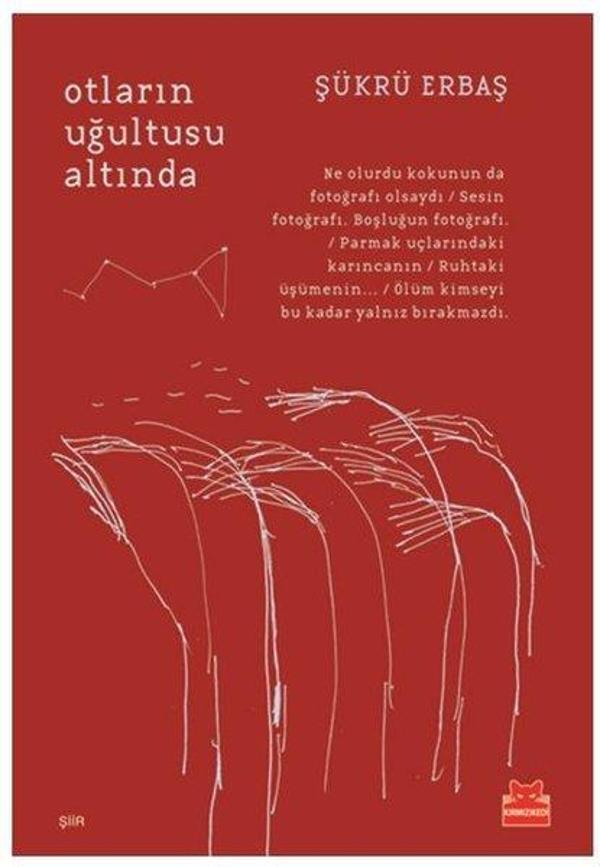 Otların Uğultusu Altında - Kırmızı Kedi Yayınevi - Image 1