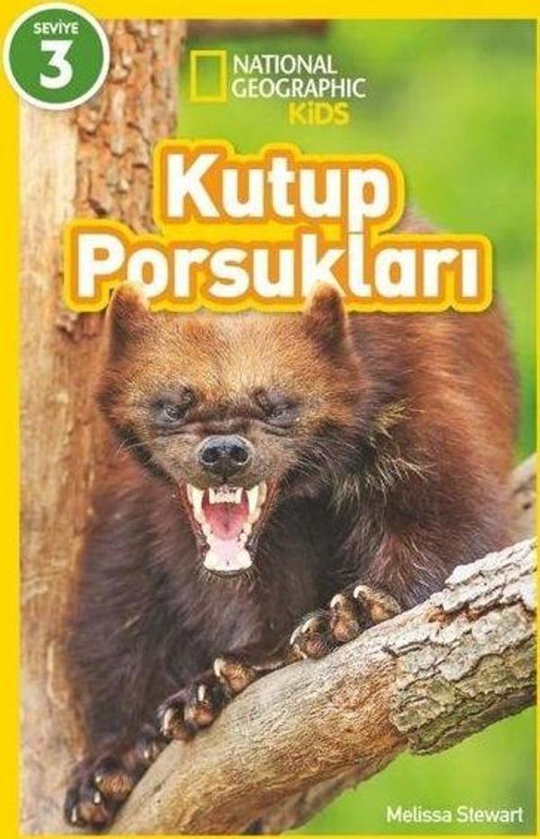 Kutup Porsukları - National Geographic Kids - Seviye 3 - Beta Kids - Image 1
