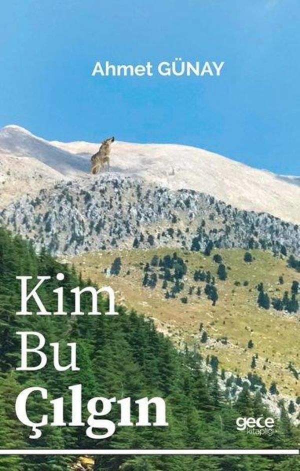 Kim Bu Çılgın - Gece Kitaplığı - Image 1