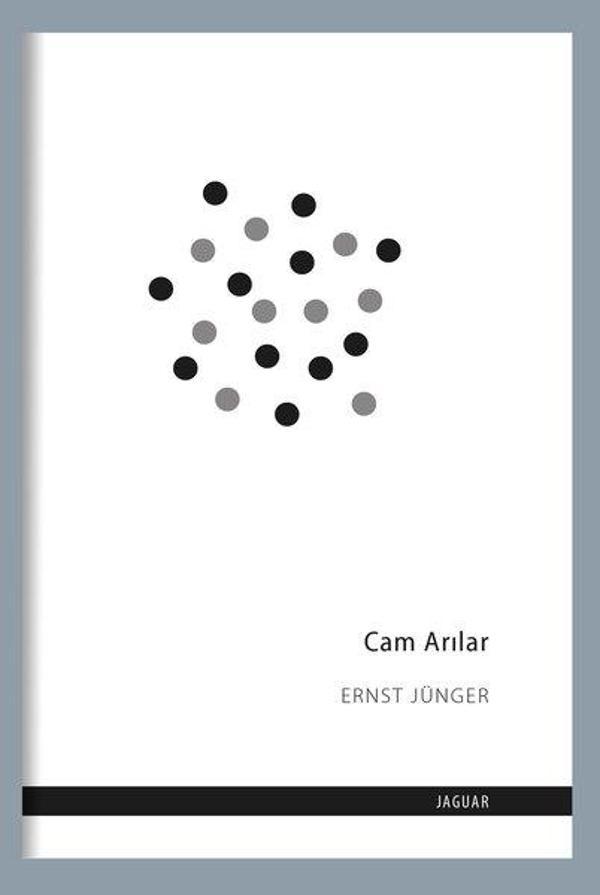 Cam Arılar - Jaguar Kitap - Image 1