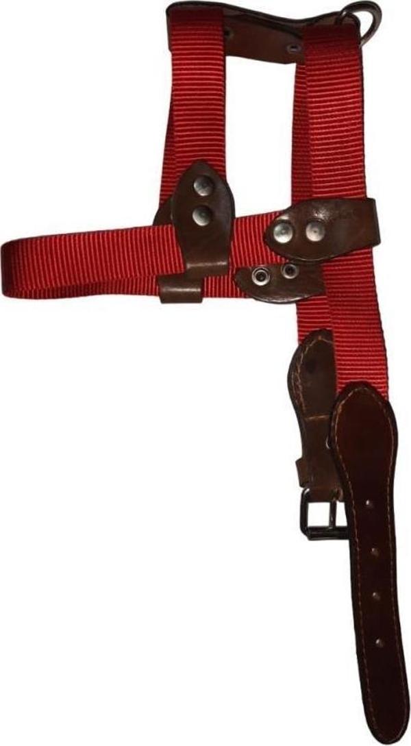 Lovely Ayarlanır Köpek Göğüs Tasması 2,5cm 10-20 Kg Aralığındaki Köpeklere KIRMIZI - Image 1