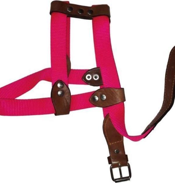 Lovely Ayarlanır Köpek Göğüs Tasması 2,5cm 10-20 Kg Aralığındaki Köpeklere PEMBE - Image 1