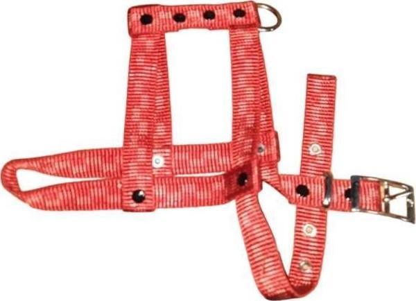 Lovely Ayarlanır Köpek Göğüs Tasması 2cm 5-17 Kg Aralığındaki Köpeklere KIRMIZI - Image 1
