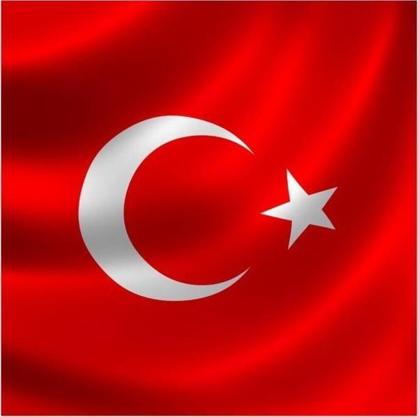Kale Bayrak 100 x 150 Cm. - Image 1