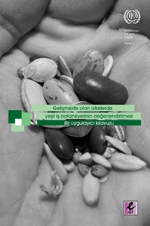 Gelişmekte Olan Ülkelerde Yeşil İş Potansiyelinin Değerlendirilmesi:  Bir Uygulayıcı Kılavuzu - Efil Yayınevi Yayınları - Image 1