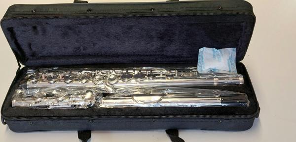WISEMANN Dfl-150 Gümüş Yan Flüt - Image 1