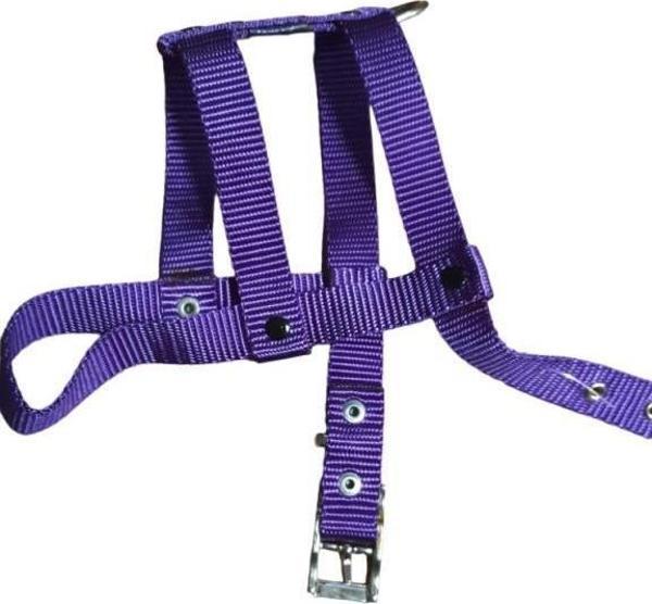 Lovely Ayarlanır Köpek Göğüs Tasması 2cm 5-17 Kg Aralığındaki Köpeklere MOR - Image 1