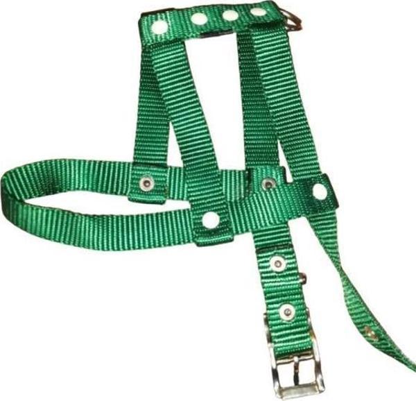 Lovely Ayarlanır Köpek Göğüs Tasması 2cm 5-17 Kg Aralığındaki Köpeklere YEŞİL - Image 1