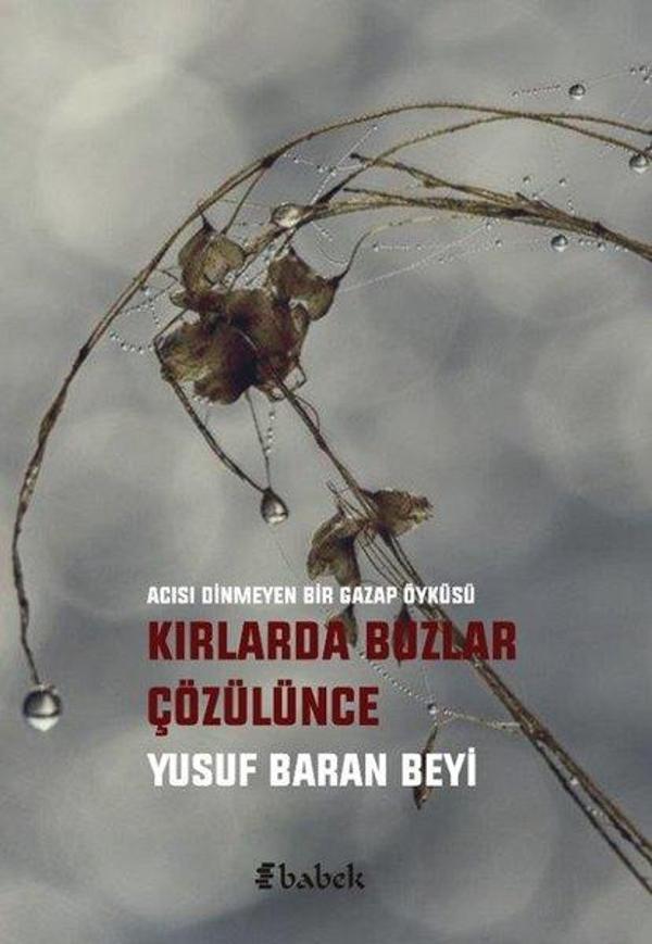 Kırlarda Buzlar Çözülünce - Babek Yayınları - Image 1