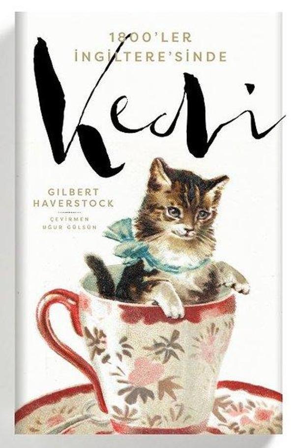 1800'ler İngiltere'sinde Kedi - Flamingo - Image 1