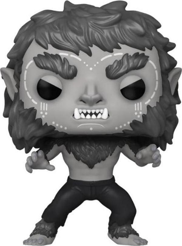Funko POP Figür Marvel: Werewolf By Night - Werewolf - Image 1