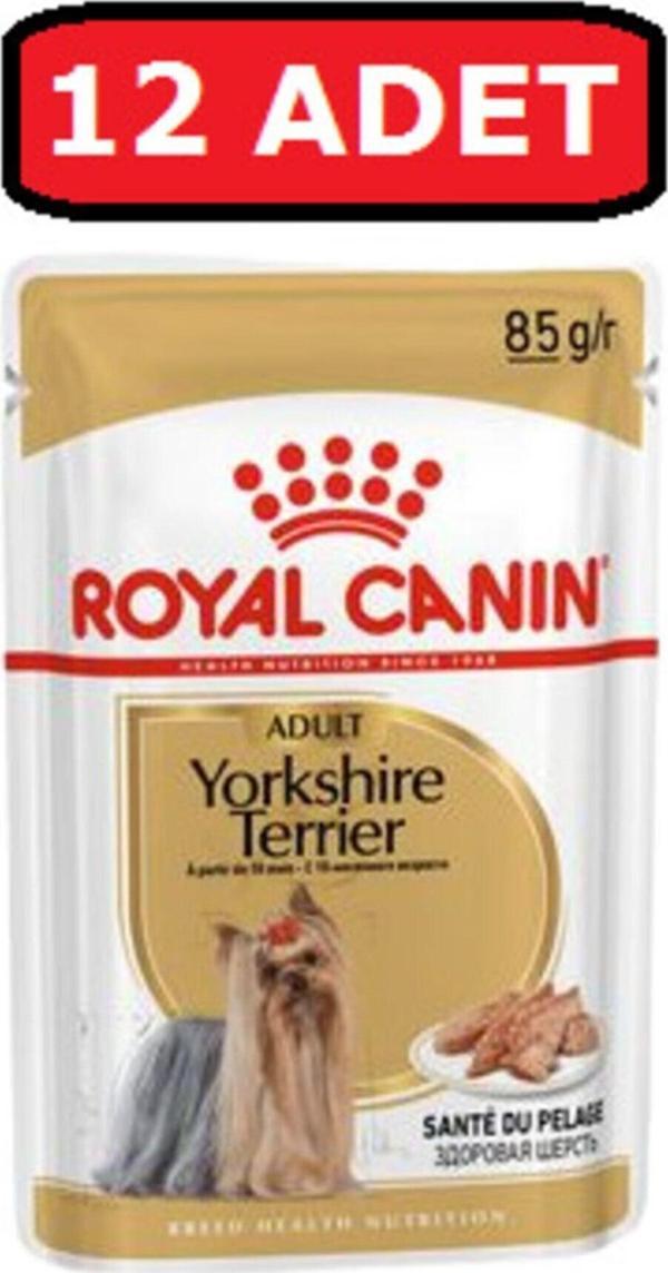 Royal Canin Yorkshire Terrier Yaş Köpek Maması 12 Adet X 85 Gr Pouch - Image 1