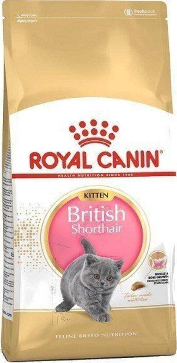 Royal Canin British Shorthair Kitten Yavru Kedi Maması 2 Kg - Image 1