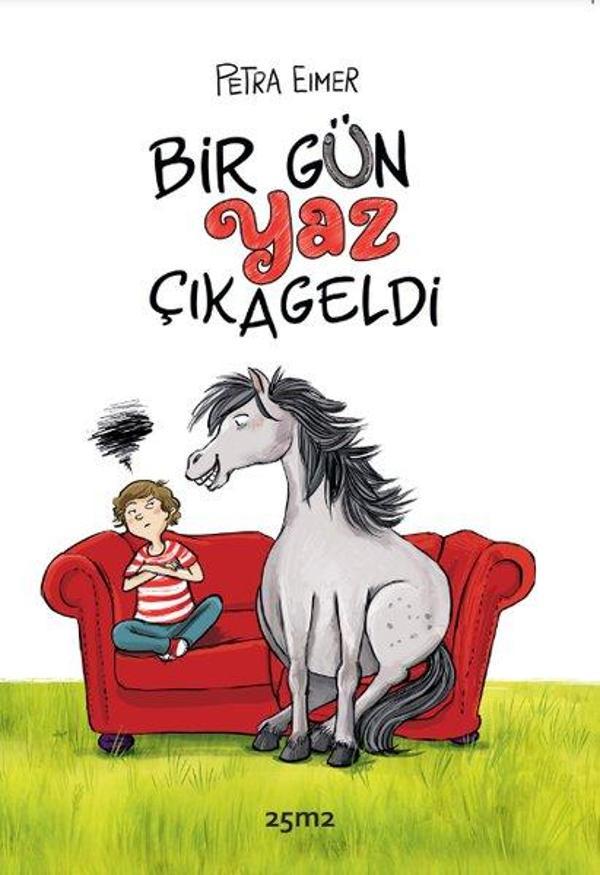 Bir Gün Yaz Çıkageldi - 25M2 Kitap - Image 1