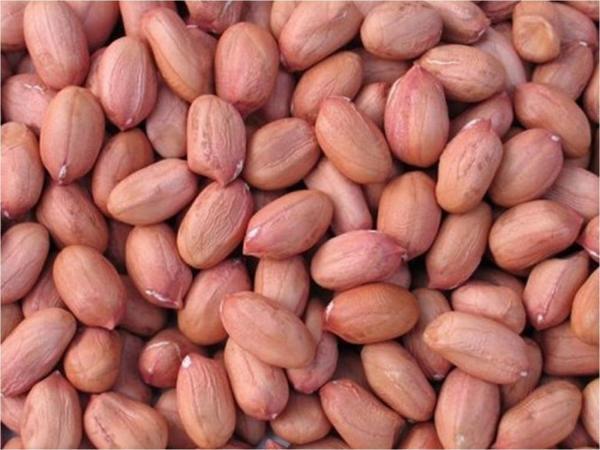 Osmaniye Çiğ Fıstık İçi Duble 1 KG - Image 1