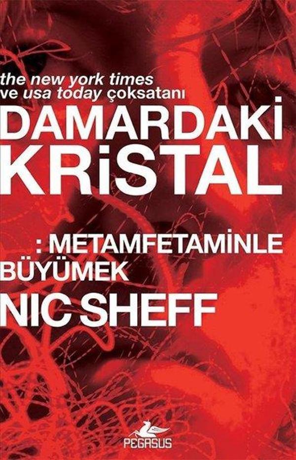 Damardaki Kristal: Metamfetaminle Büyümek - Pegasus Yayınevi - Image 1