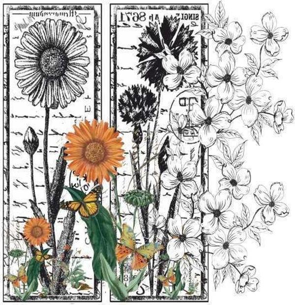 Artebella Kolay Transfer 5834v Home Design Transparan 25x25 cm - Image 1