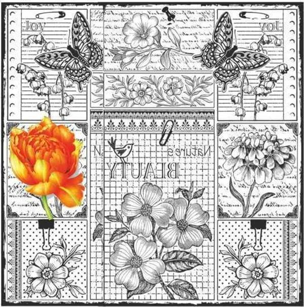 Artebella Kolay Transfer 5836v Home Design Transparan 25x25 cm - Image 1