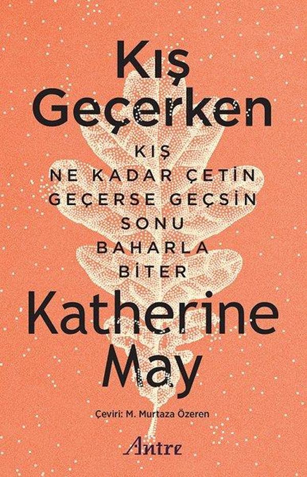 Antre Kitap Kış Geçerken - Antre Kitap - Image 1