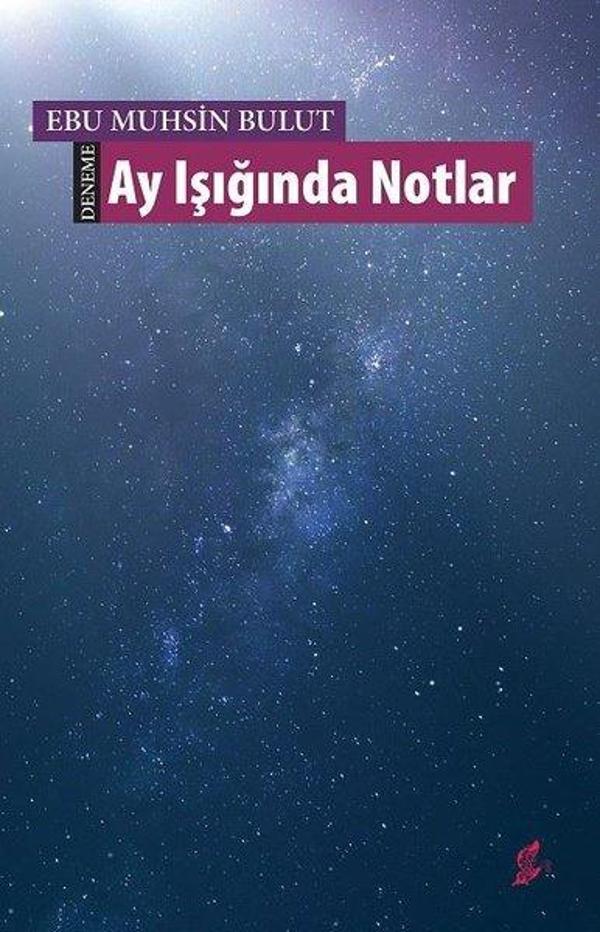 Ay Işığında Notlar - Okur Kitaplığı - Image 1