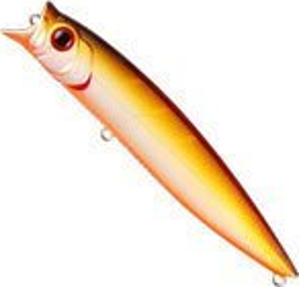 Usami Combo Pop 120F 18.5 G Turna ve Levrek Sahtesi 011 - Image 1