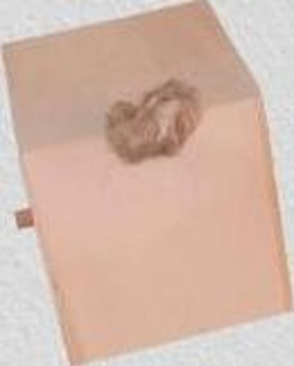 Hobi 90025 Dekoratif Model Minik Kuş Yuvası Ahşap HAM MDF El Yapımı - Image 1