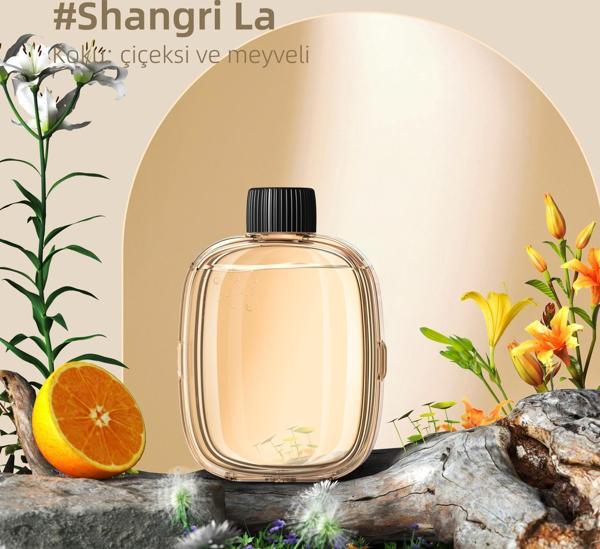 Mioji Mio Smell 2x Aromaterapi Yedek Oda Kokusu - Shangri-la Kokusu (1 adet) - Image 1