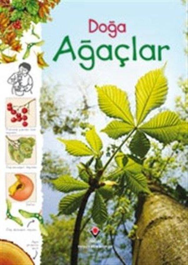 Doğa-Ağaçlar - Tübitak Yayınları - Image 1