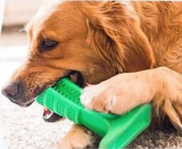 Köpek Diş Fırçası Isırma Aparatı dişlik kaşıma oyuncağı KüçükBoy - Image 1