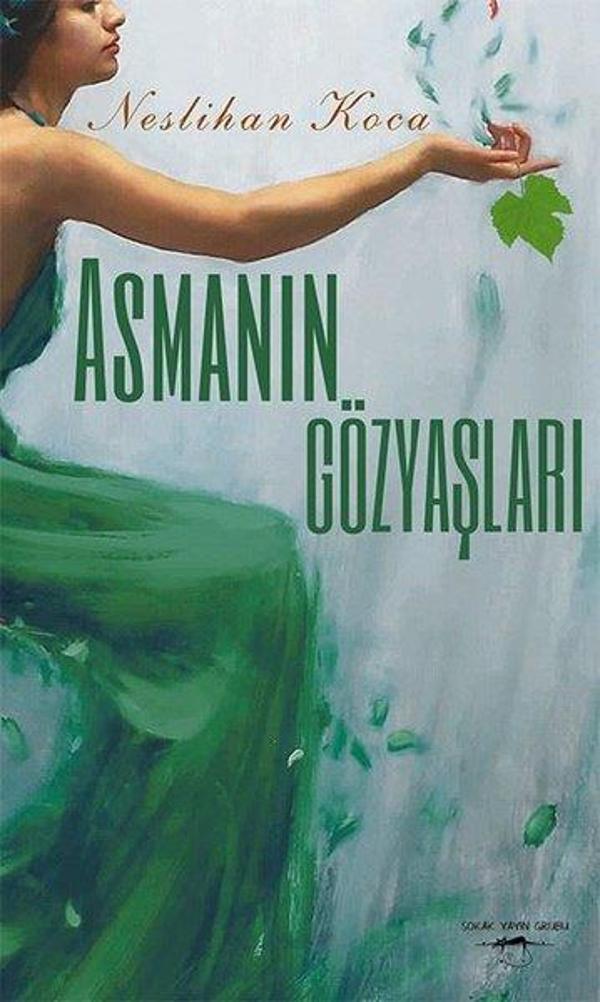 Asmanın Gözyaşları - Sokak Kitapları Yayınları - Image 1