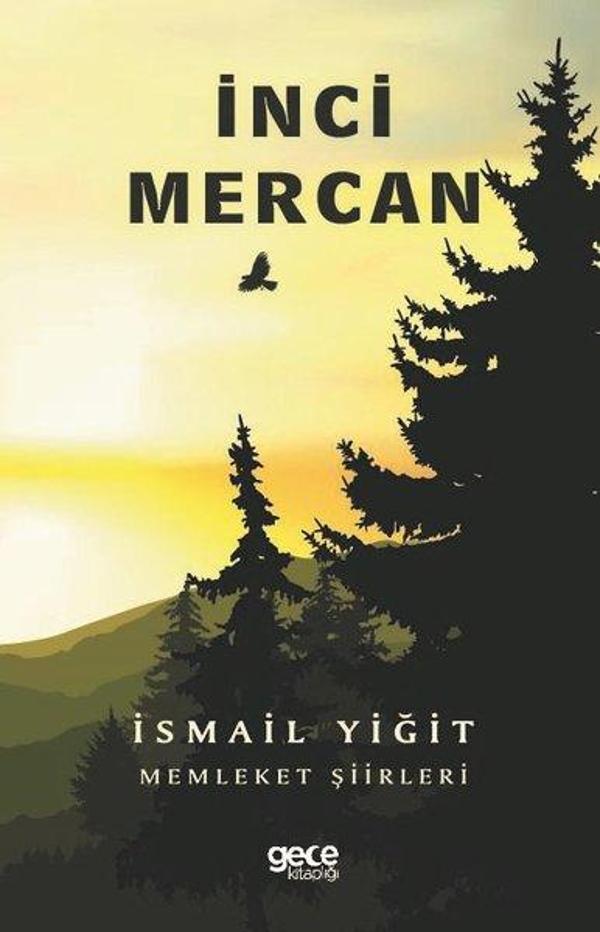 İnci Mercan - Gece Kitaplığı - Image 1