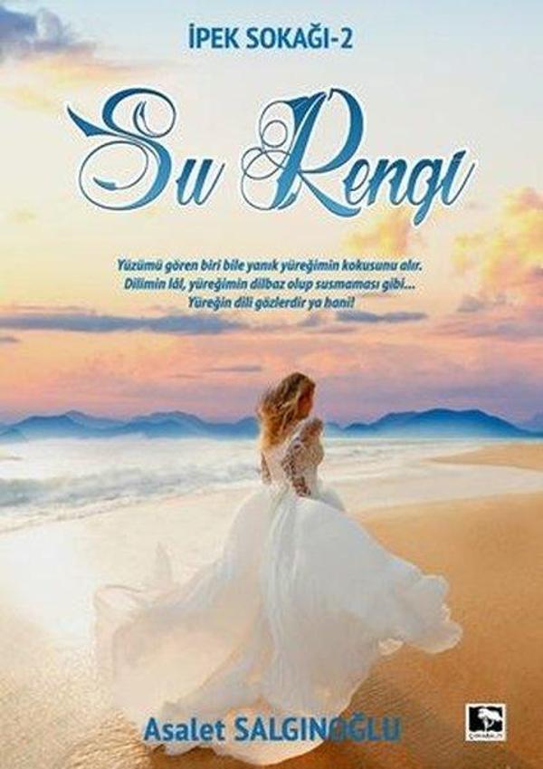 Su Rengi: İpek Sokağı-2 - Çınaraltı Yayınları - Image 1