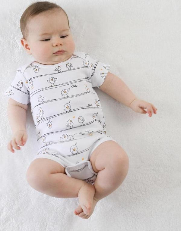 Owli Bebek Body 3'lü Set Early Birds - Image 1