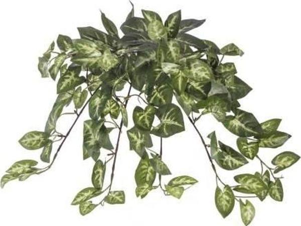 Euro Flora Yapay Sarmaşık Sygonıum Demet 42 Cm - Image 1