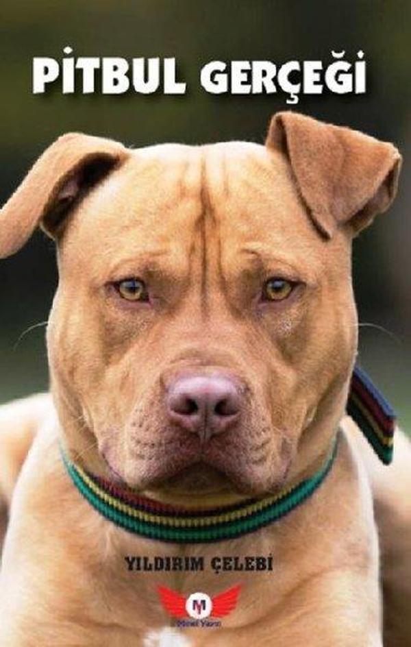 Pitbul Gerçeği - Minel Yayınları - Image 1