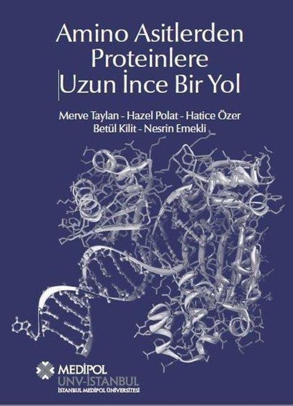 Amino Asitlerden Proteinlere Uzun İnce Bir Yol - Medipol Unv - Image 1