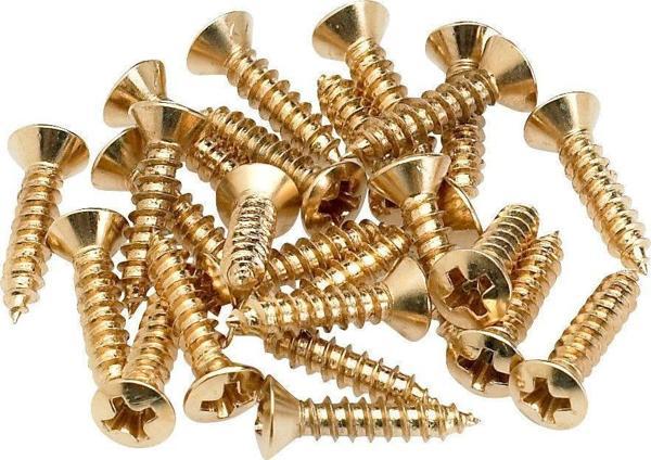 Fender Pickguard/Control Plate Mounting Screws 24 Gold Gitar Yedek Parça - Image 1