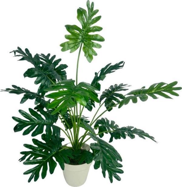 Netten Evime Yapay Ağaç Salon Bitkisi Syngonium 70 cm 18 Yaprak Beyaz Saksıda - Image 1