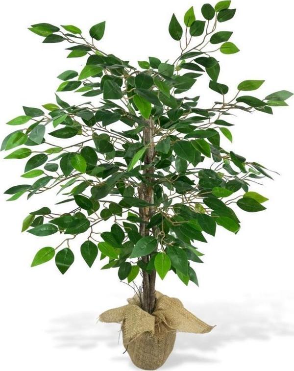 Netten Evime Yapay Ağaç Benjamin 3 Gövdeli Çalılı 100x60 cm Keten Sarılı Siyah Plastik Saksılı - Image 1