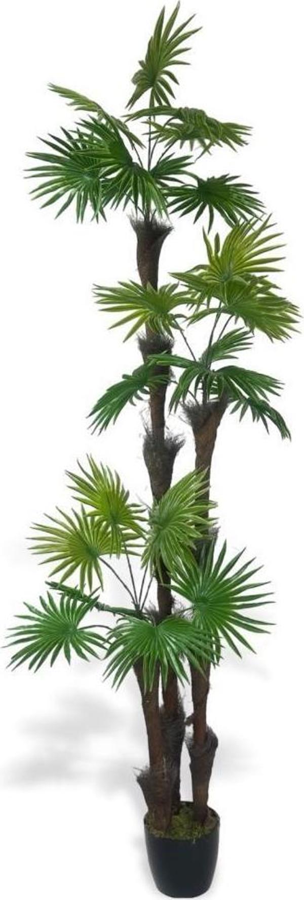 Netten Evime Yapay Ağaç Palmiye Fanpalm 3Katlı 24Yaprak Siyah Plastik Saksıda 165*65 cm - Image 1